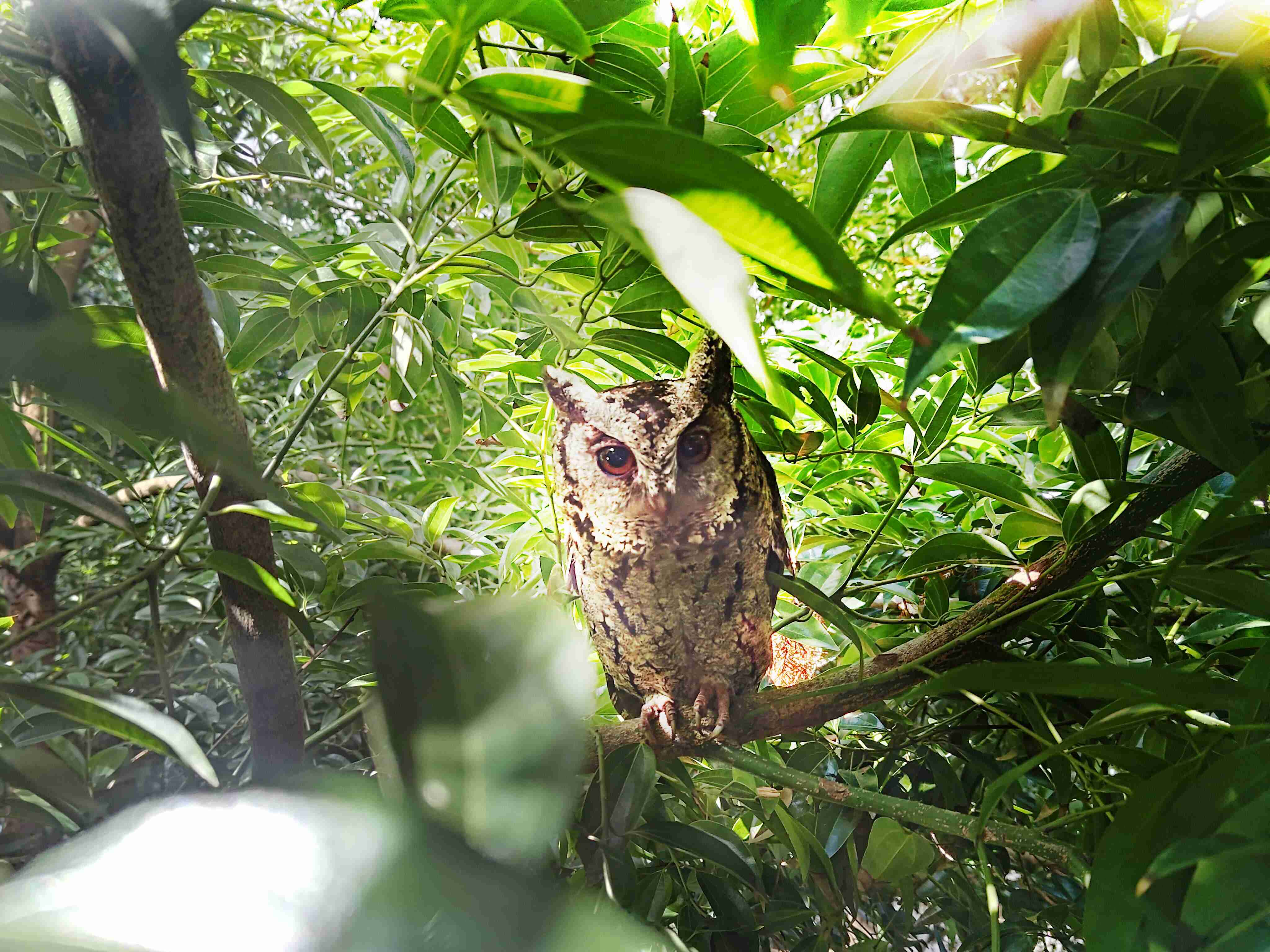 YAXIN111致力提倡净零绿生活，，16年以来在全球各厂区植树逾百万棵，，，造就各厂区树木蔚然成林，，犹如森林工厂，，，成为许多生物的栖息地